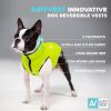 Lightweight Reversible Winter Dog Coat S Size Green Blue Warm Dog Jacket Water Resistant Windproof Dog Jacket for Small Dogs Comfortable Dog Vest