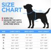 Winter Dog Coat XL Size Blue Lightweight Reversible Warm Dog Jacket Water Resistant Windproof Jacket Dog Coats for Large Dogs